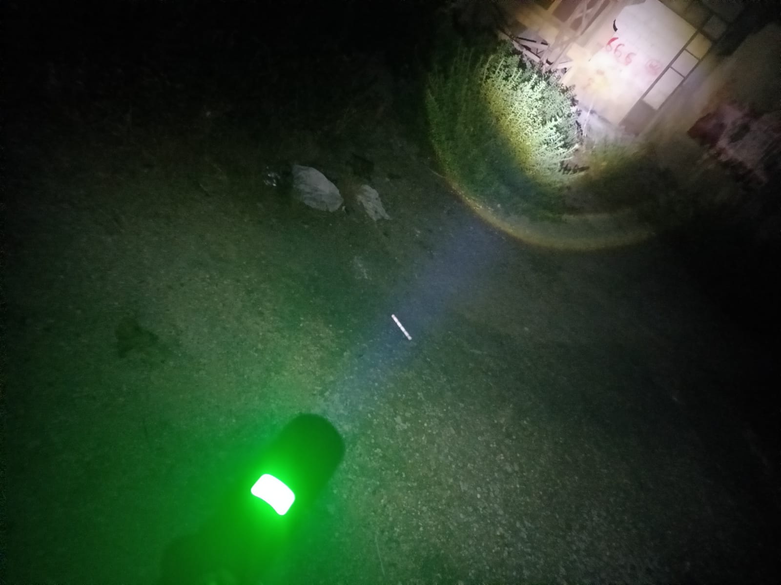 torcia a led