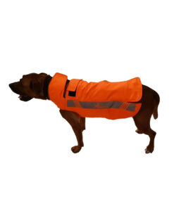 giet anti cinghiale per cani konustex